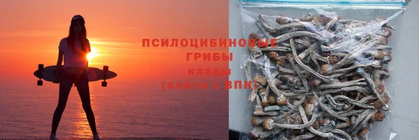 амф Алексин