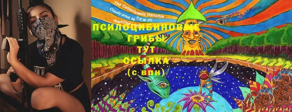 амф Алексин