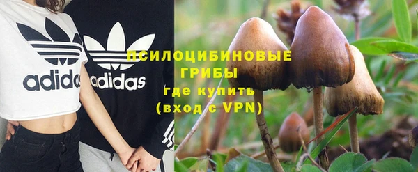 соль курить ск Алексеевка