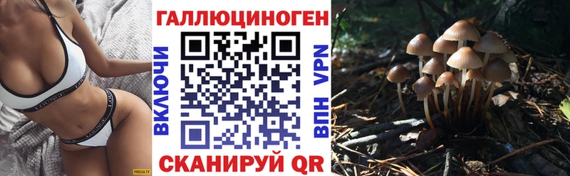 купить наркотики сайты  Ангарск  Галлюциногенные грибы Psilocybine cubensis 