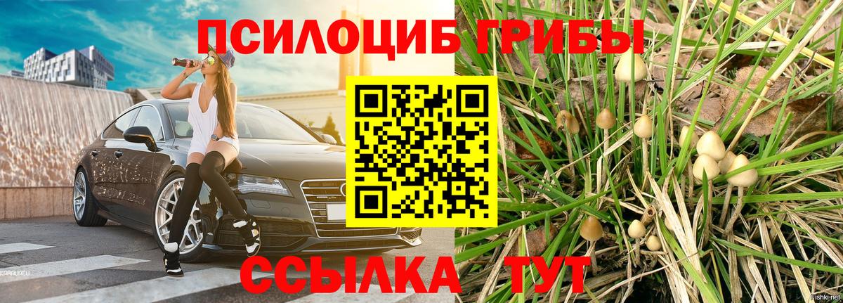 Псилоцибиновые грибы Cubensis  Вход с VPN  Ангарск 
